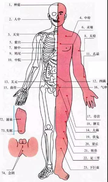 (错过毁终生的文章)